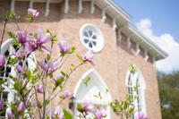 Seamans Bethel Flowers